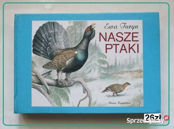 KONIE EHEdwards konie hodowla rasy zwierzęta rolnictwo, nauki rolnicze Łódź