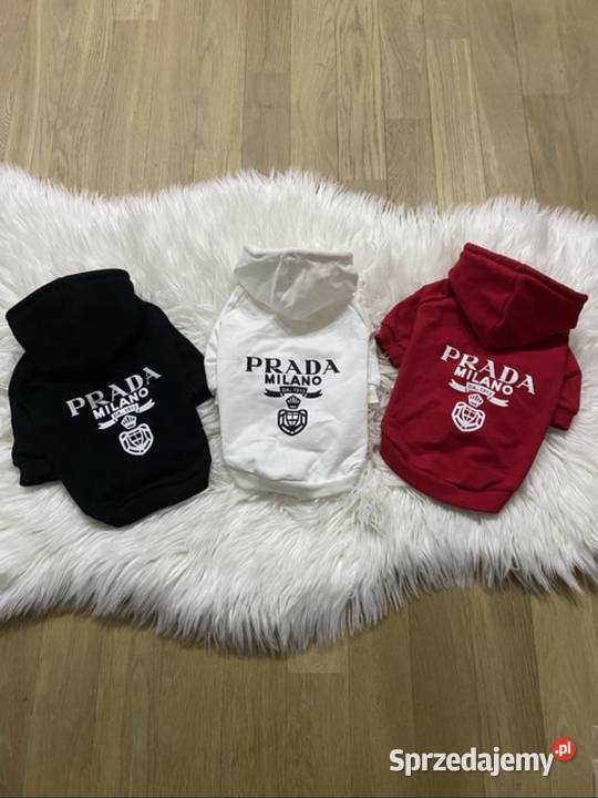 Nowa bluza ubranko psa kota Prada M Warszawa