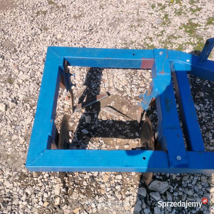 Wyorywacz flancy do truskawek świętokrzyskie Zalesie