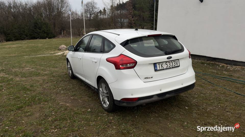 Ford focus 2016 Małogoszcz