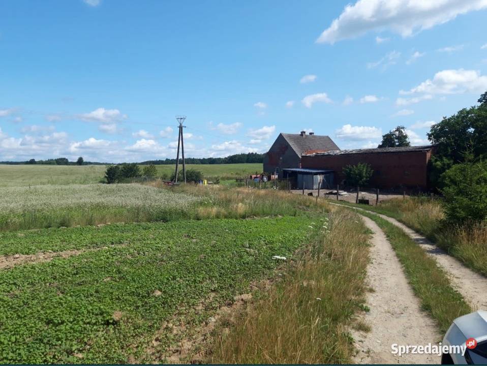 Działka budowlana 37zł/m2 Czarne Małe