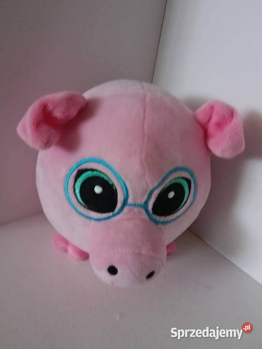 Maskotki różne rodzaje czerwony warmińsko-mazurskie Iława