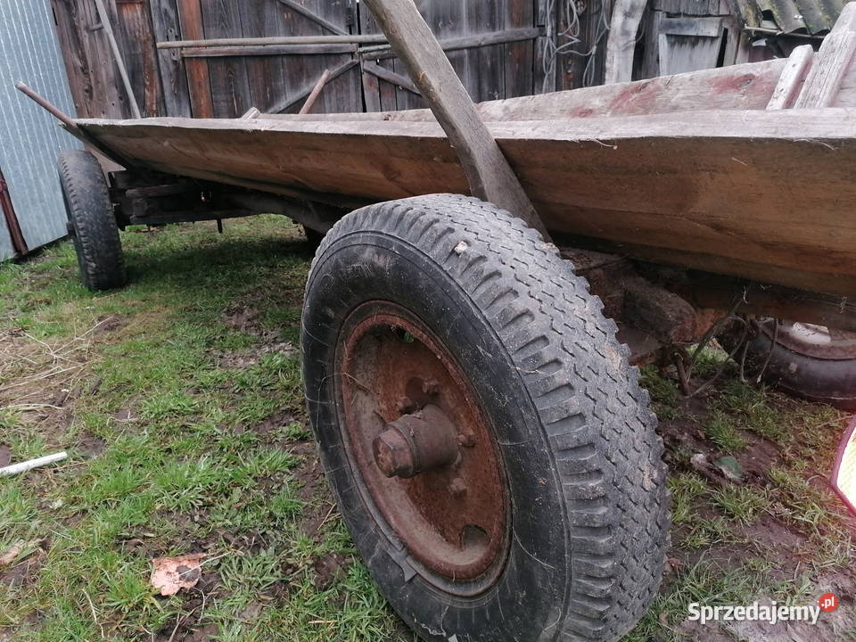 Wóz Radzyń Podlaski