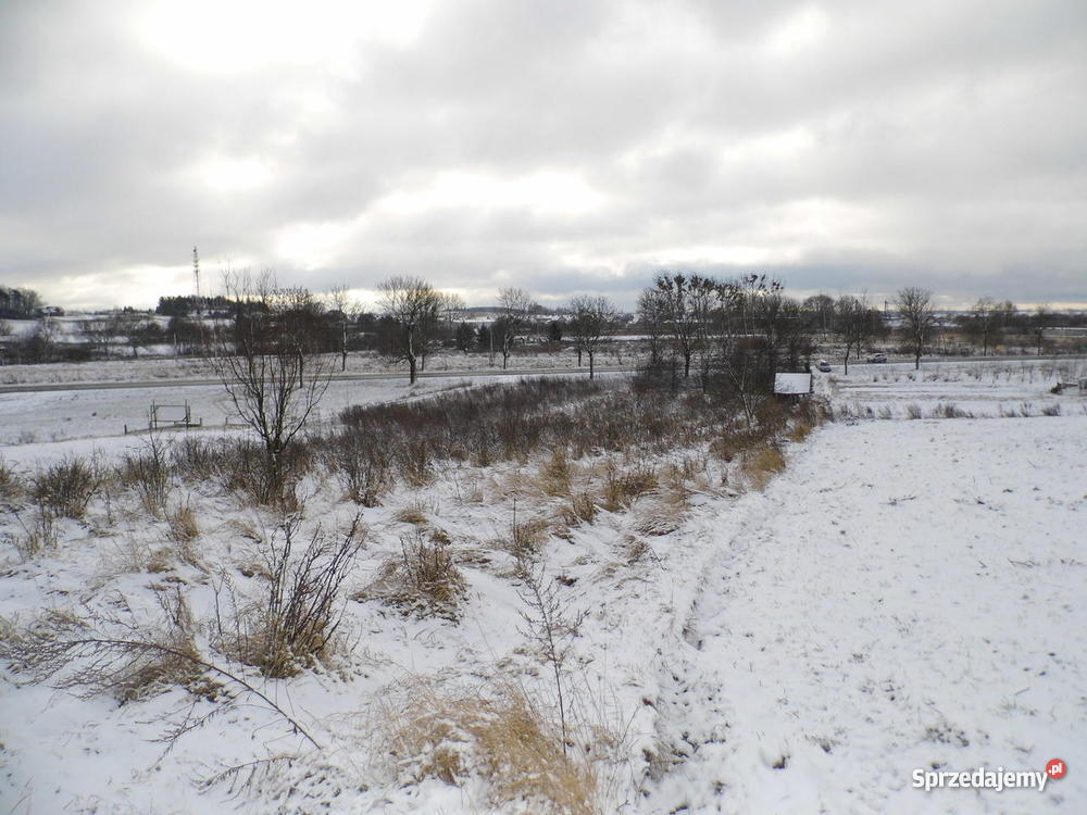 Działka budowlana Myślibórz Lipowa Myślibórz