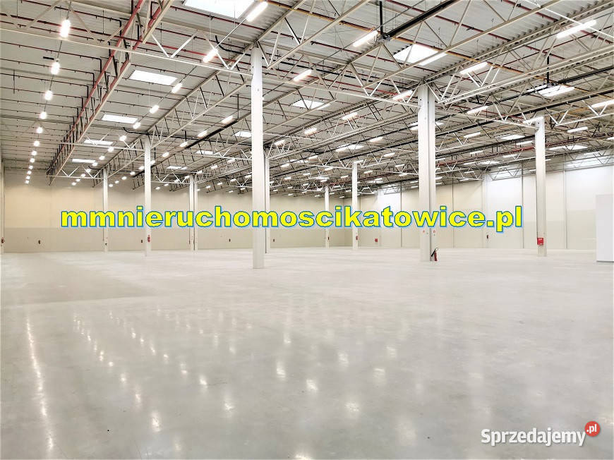 Magazyny do wynajęcia śląskie Katowice A4 0 winda