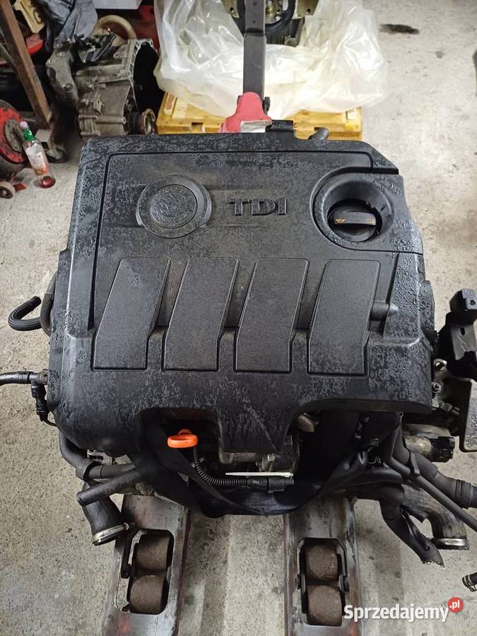 Silnik vw 16 tdi caya skoda passat audi golf śląskie Pszczyna