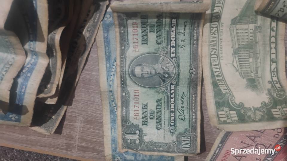 Franki kolekcja Kalisz Pomorski