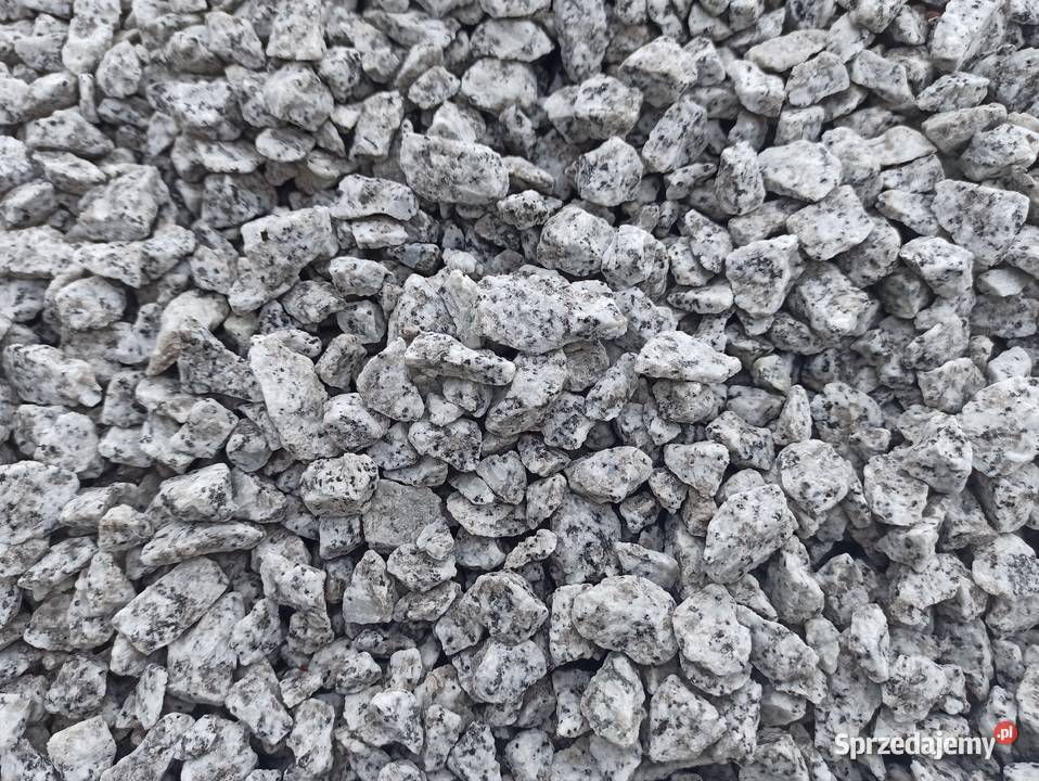 Grys Granitowy Dalmatyńczyk Kamień szary kora Poznań