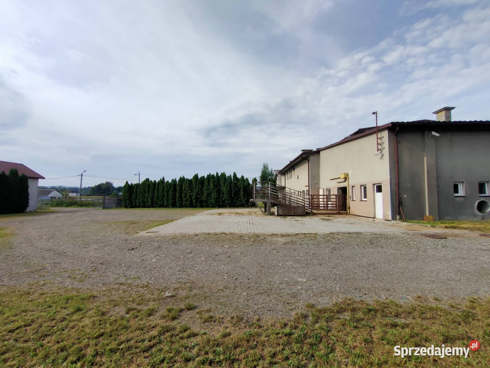 Syndyk sprzeda przedsiębiorstwo upadłego 2339zł/m2 Sprzedaż Wieprz