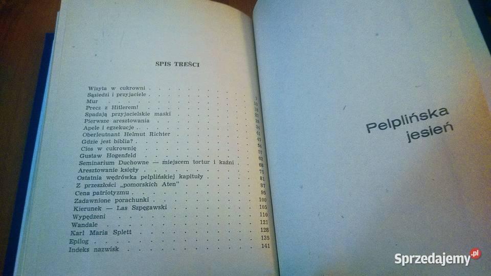 Pelplińska jesień Alojzy Męclewski pomorskie Gdańsk