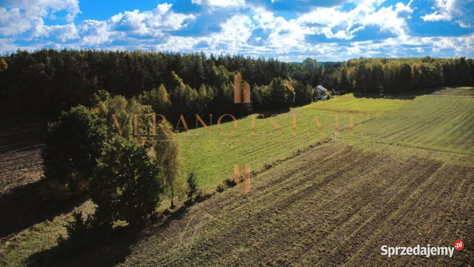 Piękna działka 2693 m2 w Ryczołku Wydane WZ sprzedam