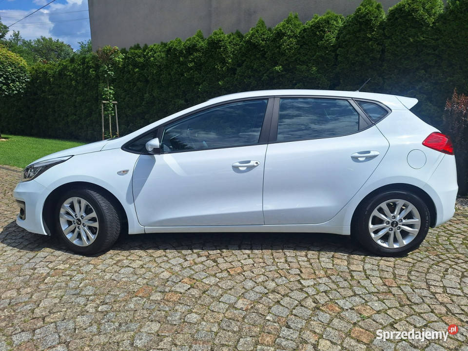 Kia Ceed 14 CVVT Edition 7 II 2012 Siewierz
