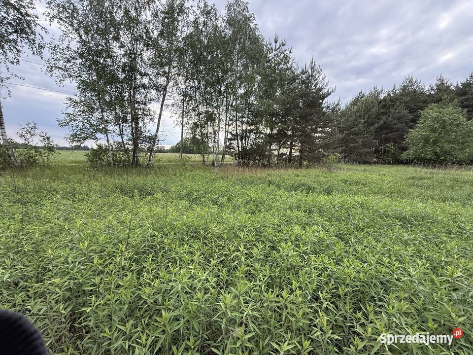 DZIAŁKA BUDOWLANA 135 ha Cygany gmina Nowa Dęba