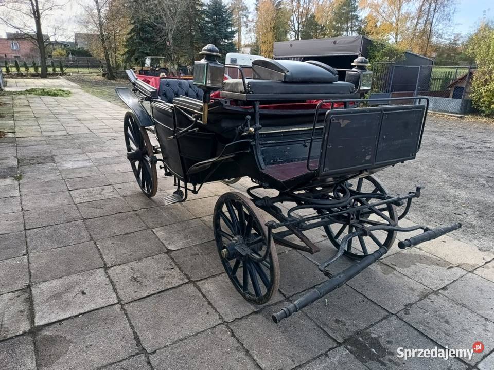 Powóz Konny Lando Bryczka Zwierzęta