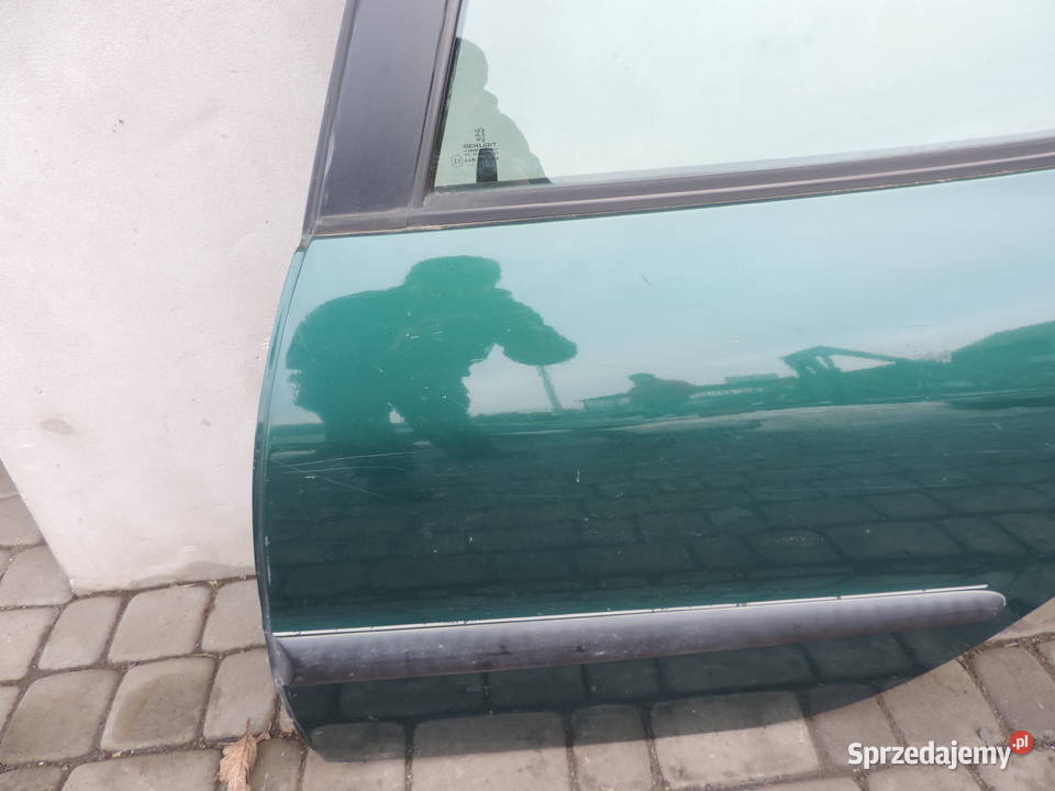 DRZWI LEWY TYŁ PEUGEOT 206 HB 5D Nowy Sącz