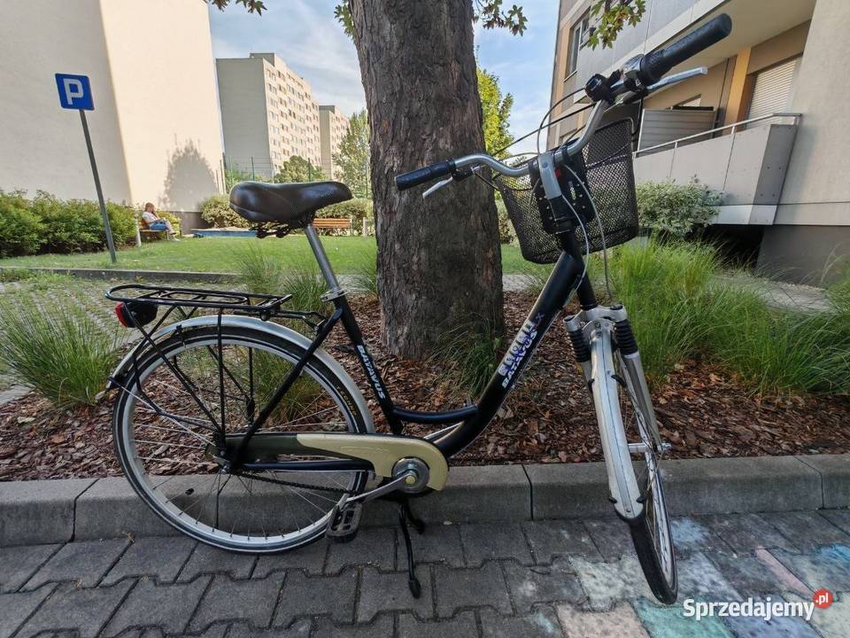 Rower Batavus Luca CLS Shimano Nexus 4 koszyk dolnośląskie Wrocław