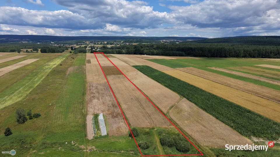 Działka 17918m2 Bieliny woda Nieruchomości sprzedam