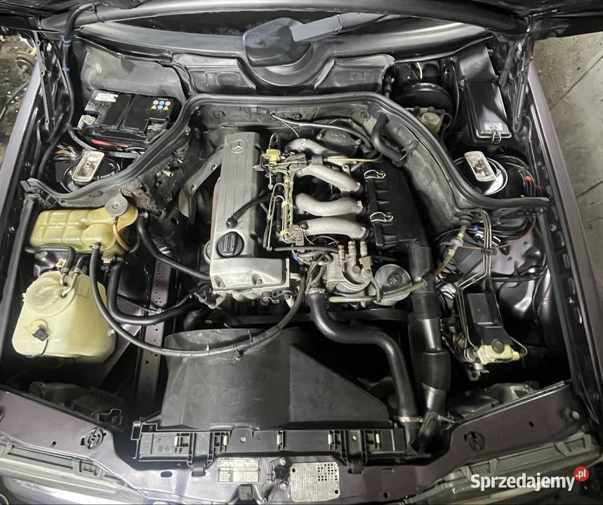 Sprzedam w 124 74KM Golub-Dobrzyń