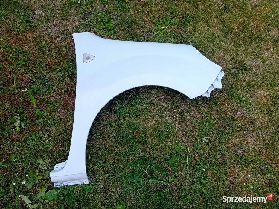 Renault Kangoo II błotnik przedni prawy osobowe Przeźmierowo