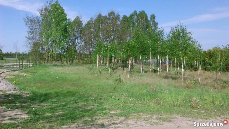 Działka budowlana Tomaszów Maz Ciebłowice Duże 54m Grunty i działki Ciebłowice Duże