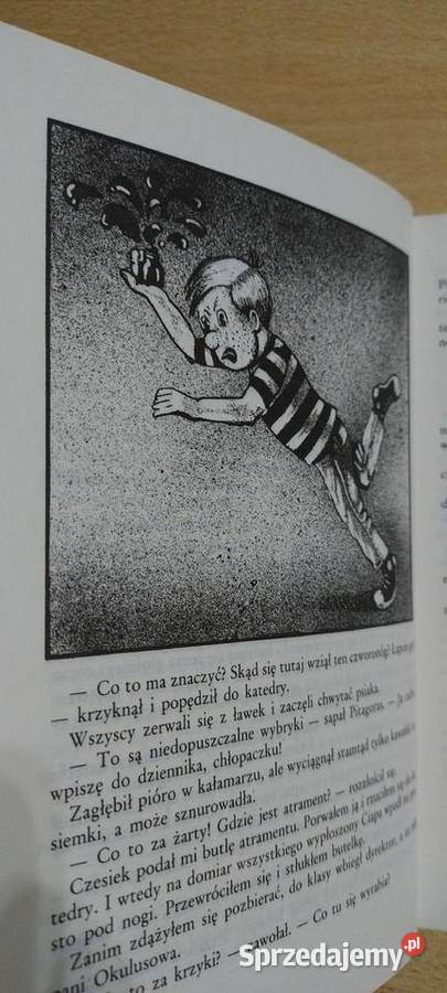 Niewiarygodne przygody Marka Piegusa Lublin