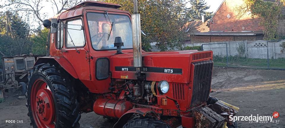 MTS MTZ 80 Białoruś Belarus 1985 Jemielno sprzedam