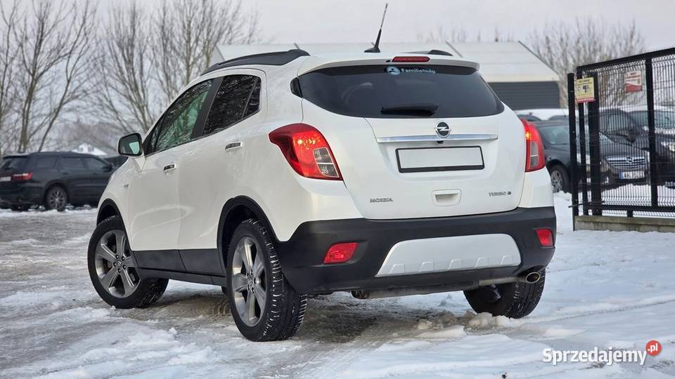 MOKKA 14TBiała Perła Napęd 4x4 Benzyna Kamera ASR (kontrola trakcji) Gostynin