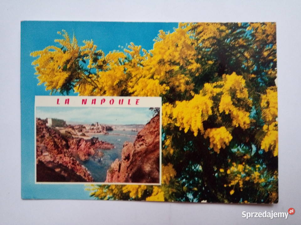 Pocztówka La Napoule Francja z lat 60tych NOWA