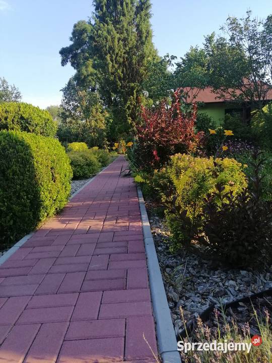 Sprzedam ogródek działkowy rekreacyjna śląskie