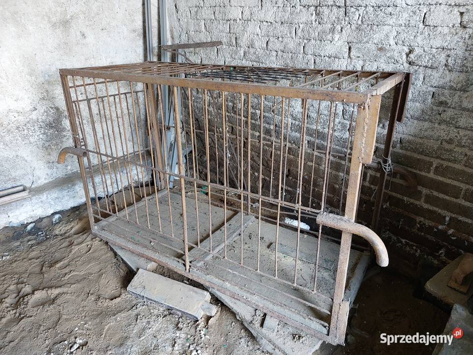 Klatka do przewozu świń mazowieckie Młodzieszyn