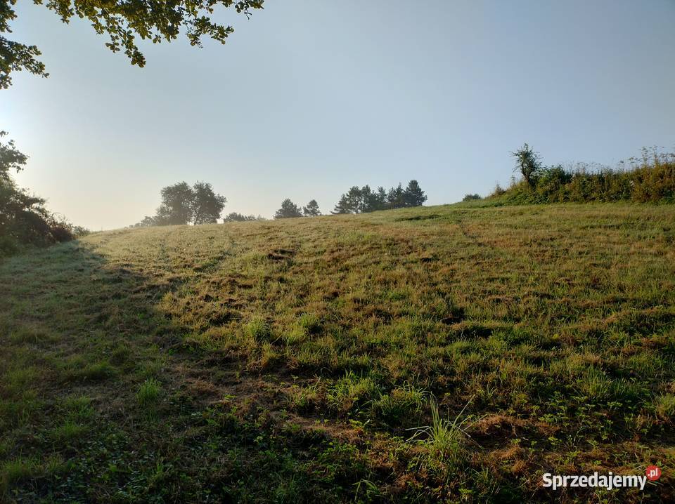Działka widokowa z warunkami zabudowy 11 arów podkarpackie Dziurdziów