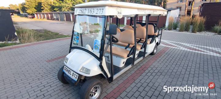 Eagle 8osobowy Pojazd elektryczny Melex silnik Pozostałe Hel