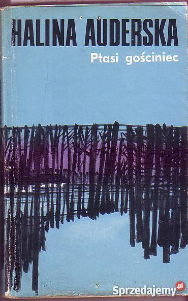 6984 PTASI GOŚCINIEC HALINA AUDERSKA literatura piękna - proza polska Czyrna