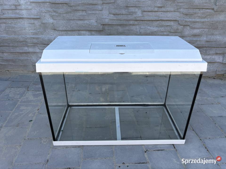 Akwarium solidne Ostrów Wielkopolski