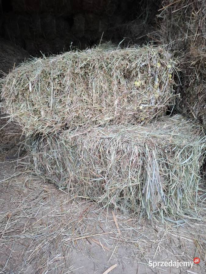 Sprzedam siano kostka