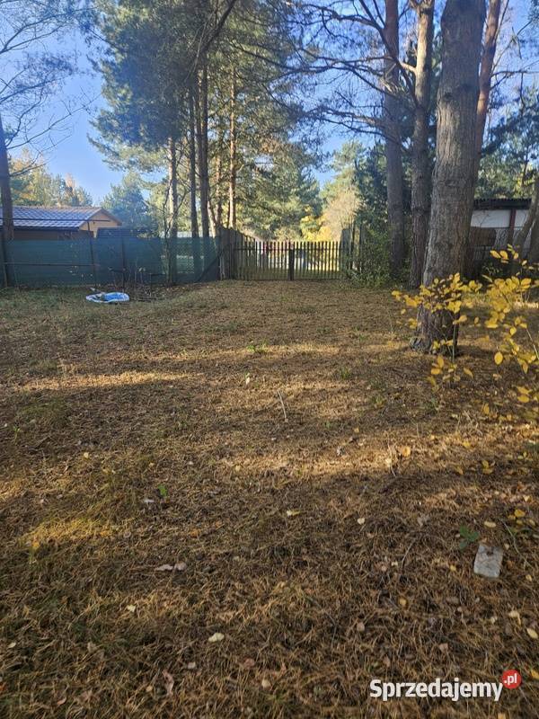 Syndyk sprzeda udział w działce Wincentowo