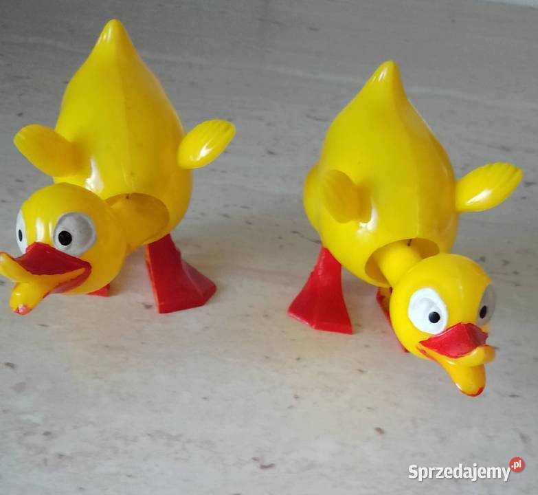 Kaczki z ruchomą główką Nakło nad Notecią