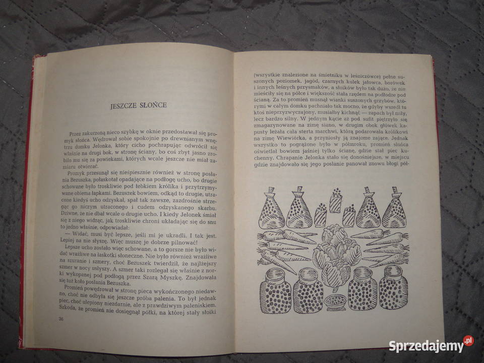 Bajki śniegowe Mieczysława Buczkówna Warszawa sprzedam