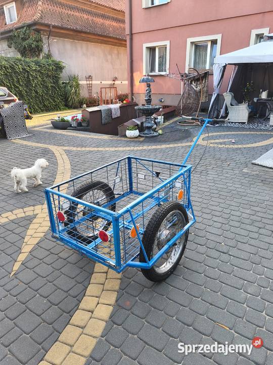 Sprzedam wózek gospodarczy transportowy Pozostałe Ryjewo