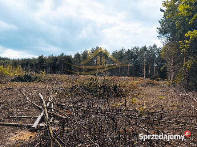 Ogłoszenie działka 35684m2 Lasek św Anny 102m