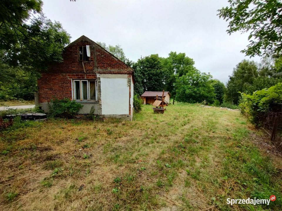 sprzedaży gruntu 2950 metrów Lisów 2950m2 Sprzedaż