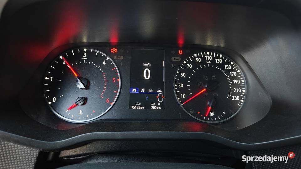 TRAFIC Renault Poddębice