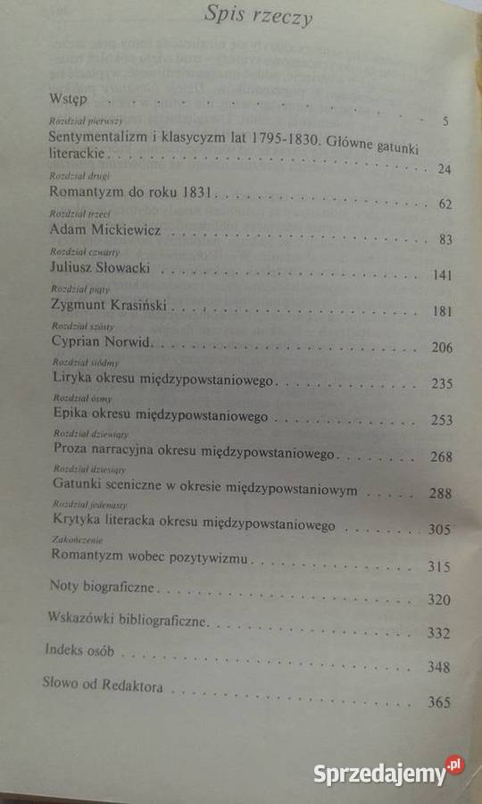 Literatura romantyzmu Alina Witkowska Książki naukowe i popularnonaukowe Gdynia