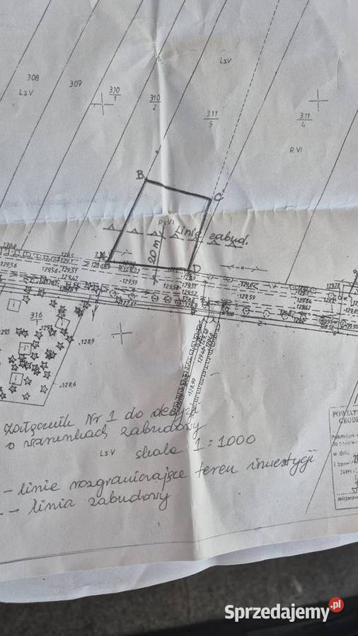 Działka Doktorce gm Suraż