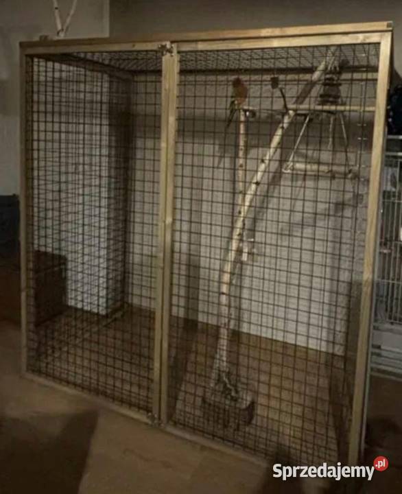 Sprzedam papugi amazonki Warszawa