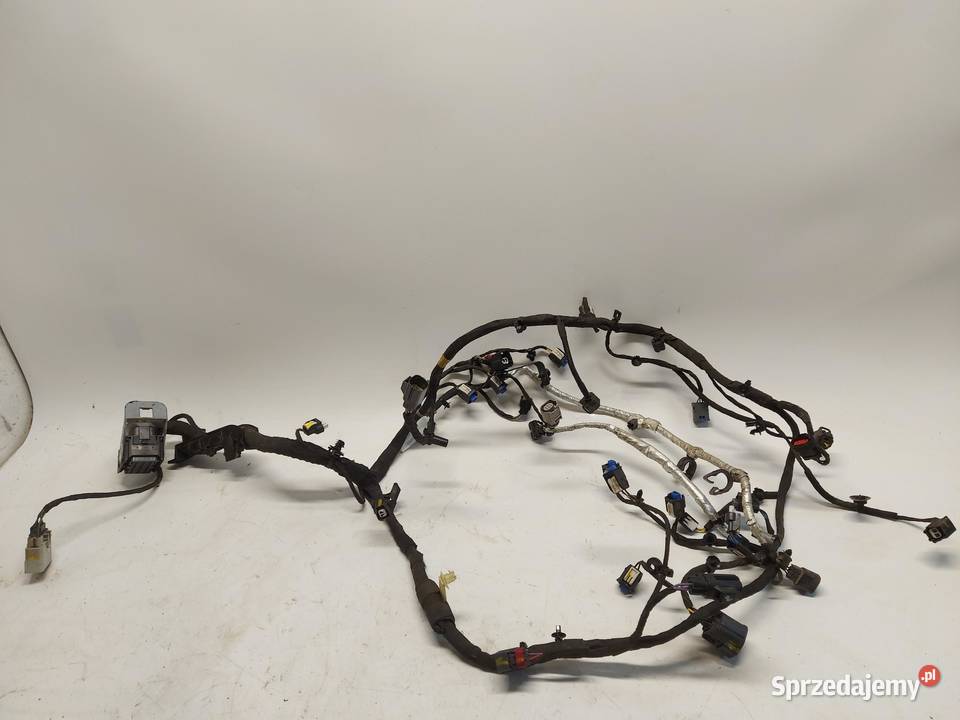 Ford Ranger VI 6 2024r WIĄZKA INSTALACJA SILNIKA dolnośląskie