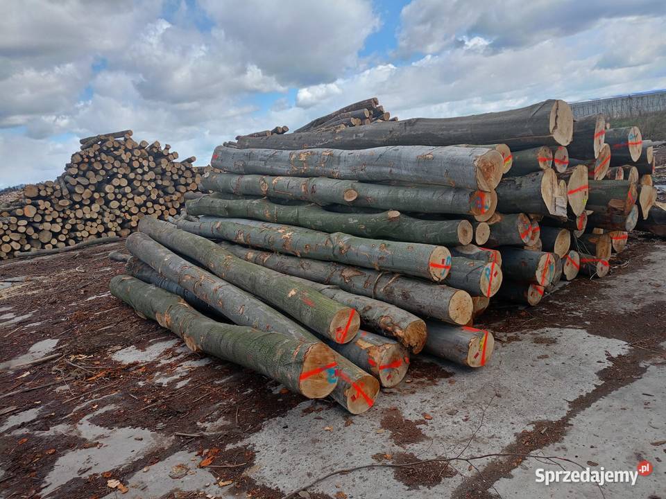Drewno opałowe Rzeszów