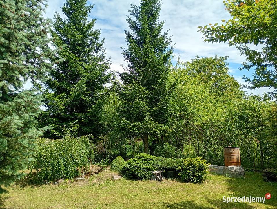 Działka ROD zachodniopomorskie Wałcz