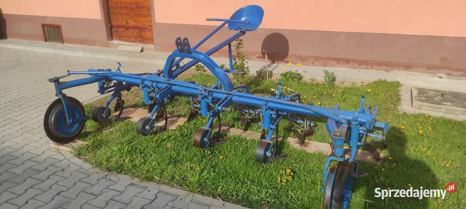 Wielorak pielnik małopolskie Miechów