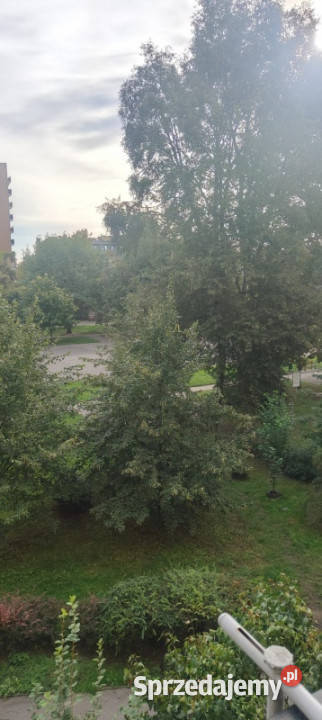 2 POKOJE 408 m2 2 PIĘTRO WIDOK NA ZIELEŃ mazowieckie Warszawa